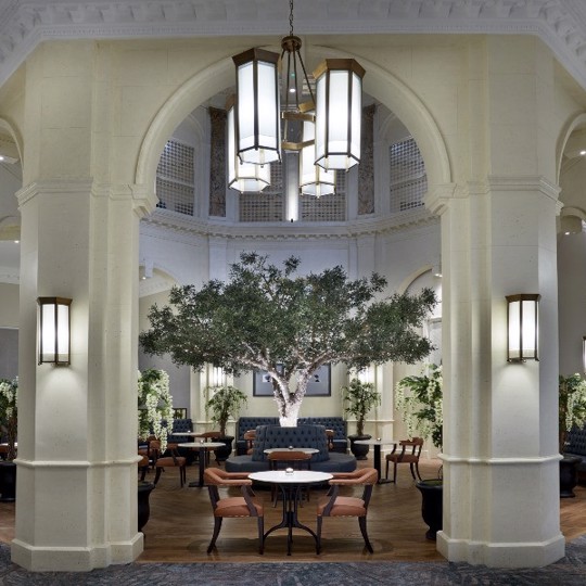 The Midland